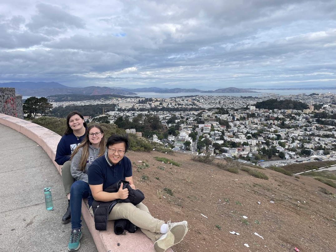 Panoramic view of SanFran